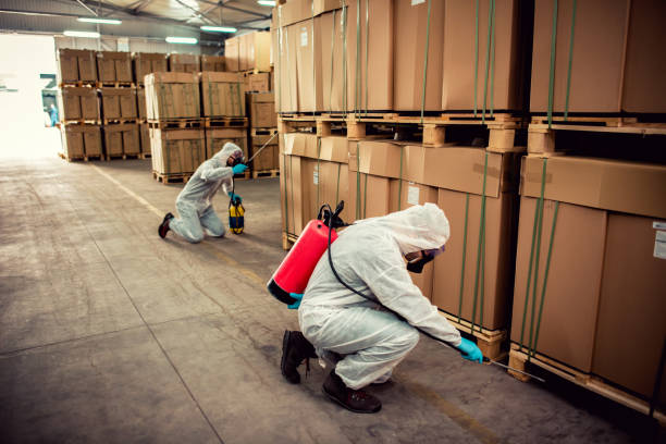 Best Local Pest Control Services  in Brook Highland, AL