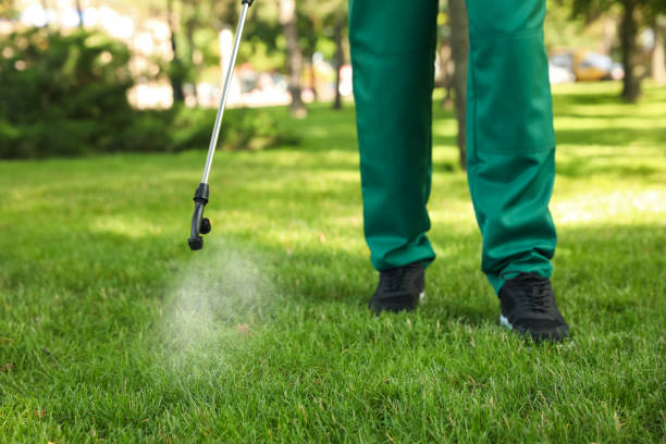 Best Insect Control  in Brook Highland, AL